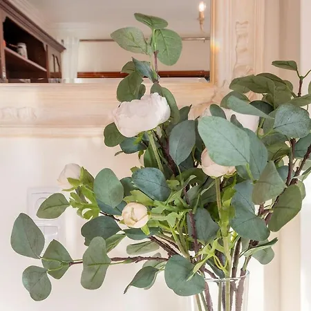 公寓 Macas Sea View *